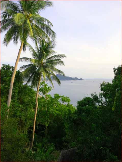 MIRA and FPOS-I: View to sea from the jungle