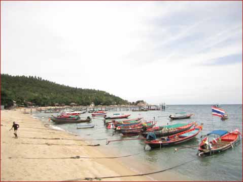 MIRA and FPOS-I: Longtails in Mae Haad